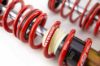Picture of MTS Technik Coilover Set - MTSGWVW62