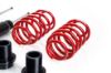 Picture of MTS Technik Coilover Set - MTSGWVW87