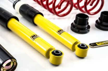 Picture of MTS Technik Coilover Set - MTSGWVW91