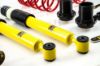 Picture of MTS Technik Coilover Set - MTSGWVW97