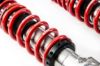 Picture of MTS Technik Coilover Set - XMTSGWBM01