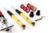 Picture of MTS Technik Coilover Set - XMTSGWBM01