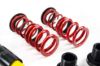 Picture of MTS Technik Coilover Set - XMTSGWBM01