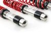Picture of MTS Technik Coilover Set - XMTSGWBM04