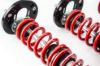 Picture of MTS Technik Coilover Set - XMTSGWBM101