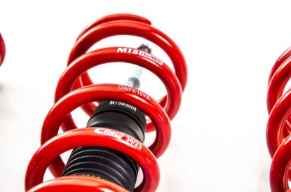 Picture of MTS Technik Coilover Set - XMTSGWBM106