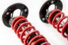 Picture of MTS Technik Coilover Set - XMTSGWBM111-S