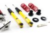 Picture of MTS Technik Coilover Set - XMTSGWBM116