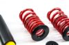 Picture of MTS Technik Coilover Set - XMTSGWBM15-S