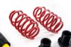 Picture of MTS Technik Coilover Set - XMTSGWVW10
