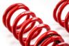 Picture of MTS Technik Coilover Set - XMTSGWVW31-S