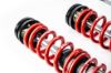 Picture of MTS Technik Coilover Set - XMTSGWVW87-C