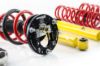 Picture of MTS Technik Coilover Set - XMTSGWVW91-S