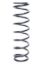 Coil-Over Spring 2.625in x 10in