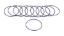 Filter O-Rings (10)