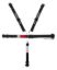 5-Pt Harness L&L Ratchet 2in Belts
