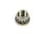 S/S 12pt. Nut - 7/16-20 (1)