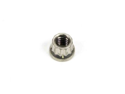 S/S 12pt. Nut - 1/4-20 (1)