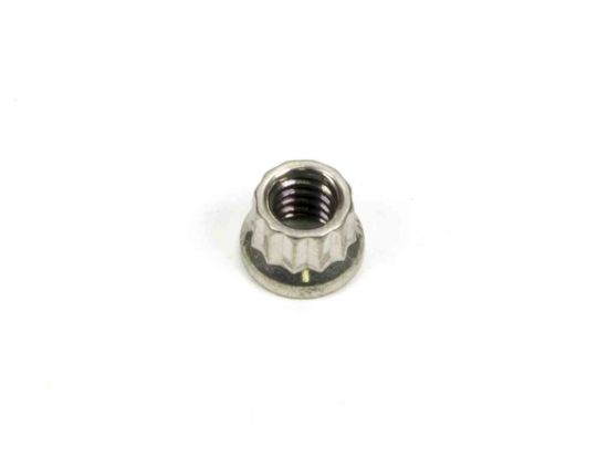 S/S 12pt. Nut - 1/4-20 (1)