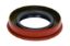 Rear Oil Seal