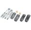 Lowering Kit