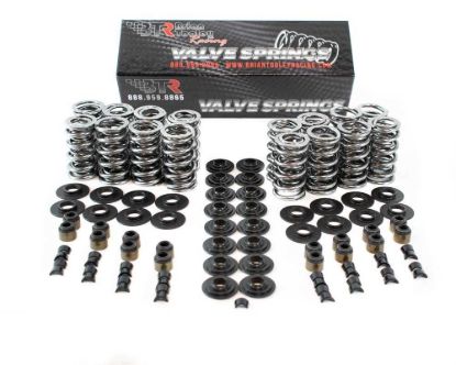 Platinum LS Dual Springs .660in Lift