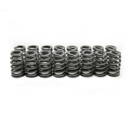 LS6 Beehive Springs .560 Lift (16)