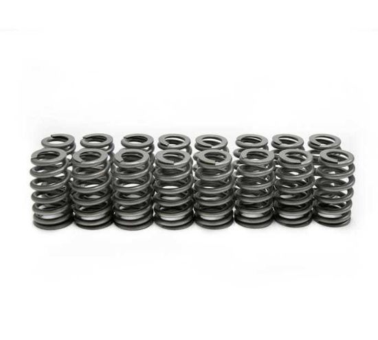 LS6 Beehive Springs .560 Lift (16)