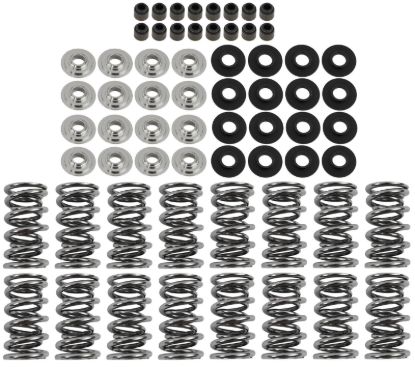 Platinum Dual Spring LS Kit Titanium Retainer