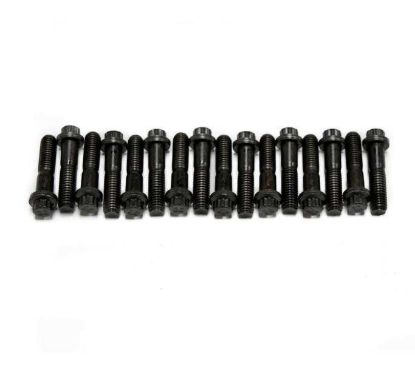LS7 Rkr Arm Trun Bolts Complete Kit 12 Point