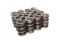 1.683in Triple Valve Springs w/Damper