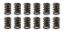 Valve Spring Set