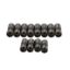 Chevy 6-Cyl DLC Hyd Lifter Set  .842 Dia.