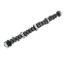 BBF FE Extreme Energy Hyd Roller Cam