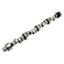 Pontiac V8 Hyd Roller Camshaft Thumpr Series