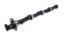 Buick 400/455 Hyd. Cam 260H