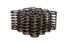 .970 Dia. Inner Valve Springs- .700 ID.