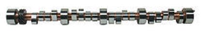 Solid Camshaft - SBC 276FDP