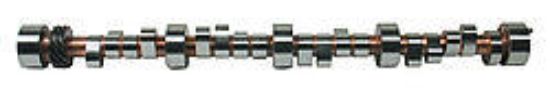 Solid Camshaft - SBC 276FDP