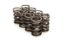 Valve Springs - Dual