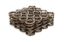 Valve Springs - Dual 1.405
