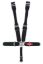5-Way L&L 52in Lap Belt DB Harness W/Alum adjus