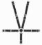 5-Pt Harness 2in Cam Lock Blk Pull Up
