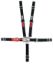 5 Point L&L 2in Lap Belt Pull Down Black SFI16.2