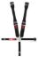 5-Way L&L  W/Ratchet on left side lap belt.  Rig