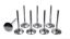 11/32 Intake Valves - 2.080