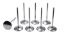 5/16 Intake Valves - 2.180