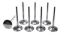 11/32 Intake Valves - 2.180