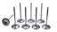 5//16 Intake Valves - 2.180