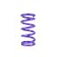 Spring  Conventional  Fr ont  9.500in Length  5.0